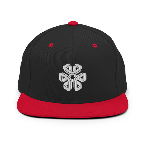 LSR/CITY Icon Snapback