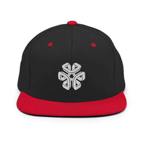 LSR/CITY Icon Snapback